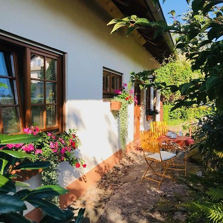 Ferienhaus Zirbe Rickenbach  Екстериор снимка
