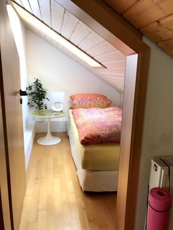 Ferienhaus Zirbe Rickenbach  Екстериор снимка